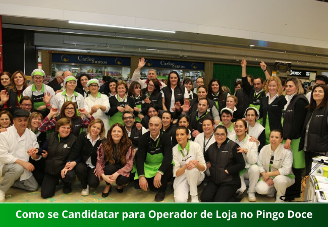 Como se Candidatar para Operador de Loja no Pingo Doce: Guia Completo